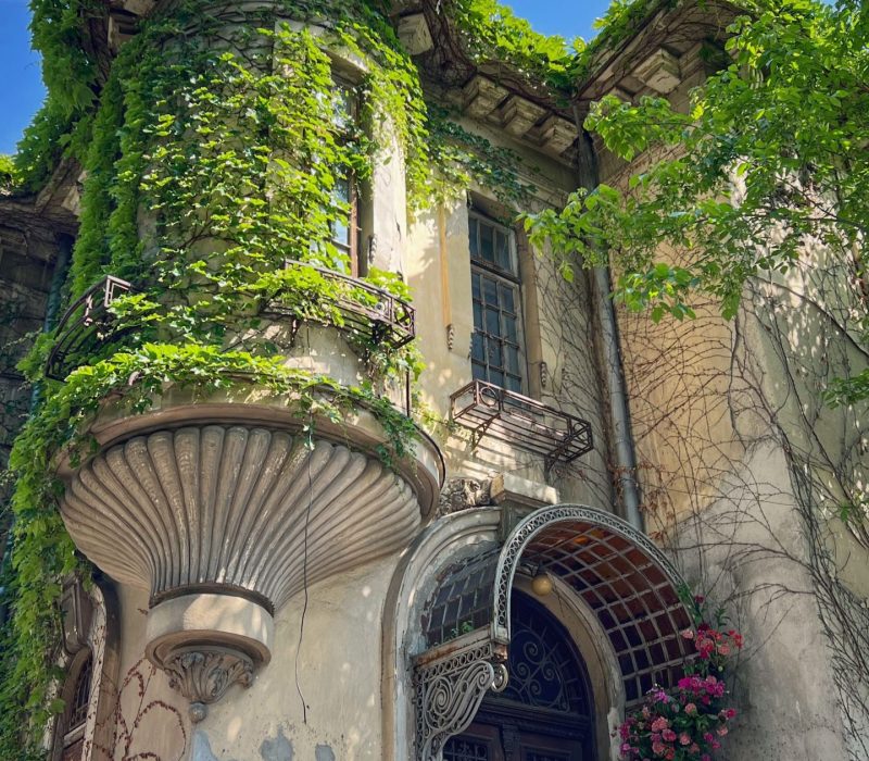 Cotroceni A Tale of Bucharest Tour by Autumn Tales